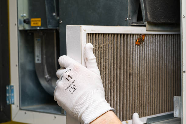 Best Residential Air Duct Cleaning  in Sughter, LA