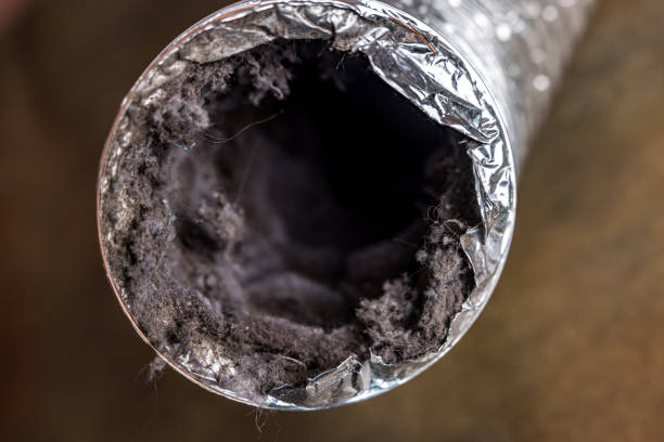 Best Air Duct Mold Removal  in Sughter, LA